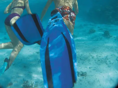 Caraibe și Antile din Port Canaveral — MSC Croaziere · MSC Seashore