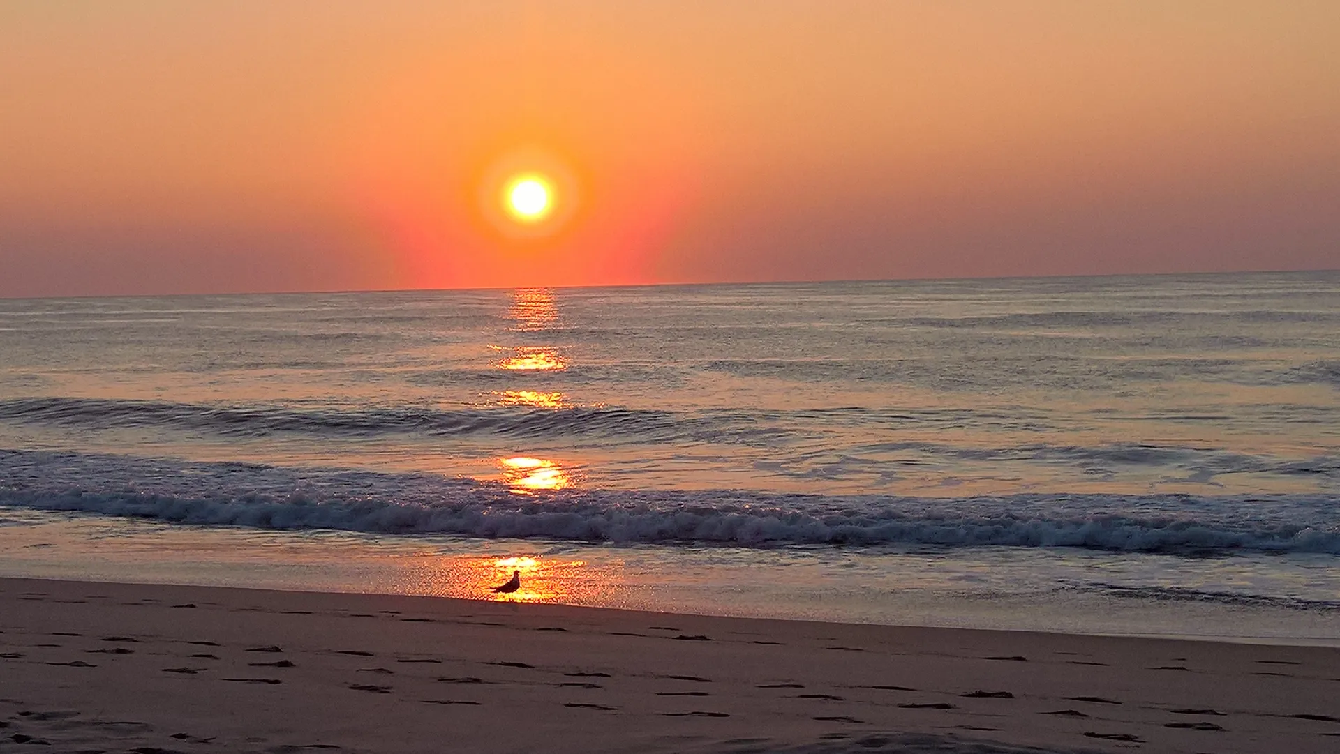 Crisfield (Crisfield, Maryland)