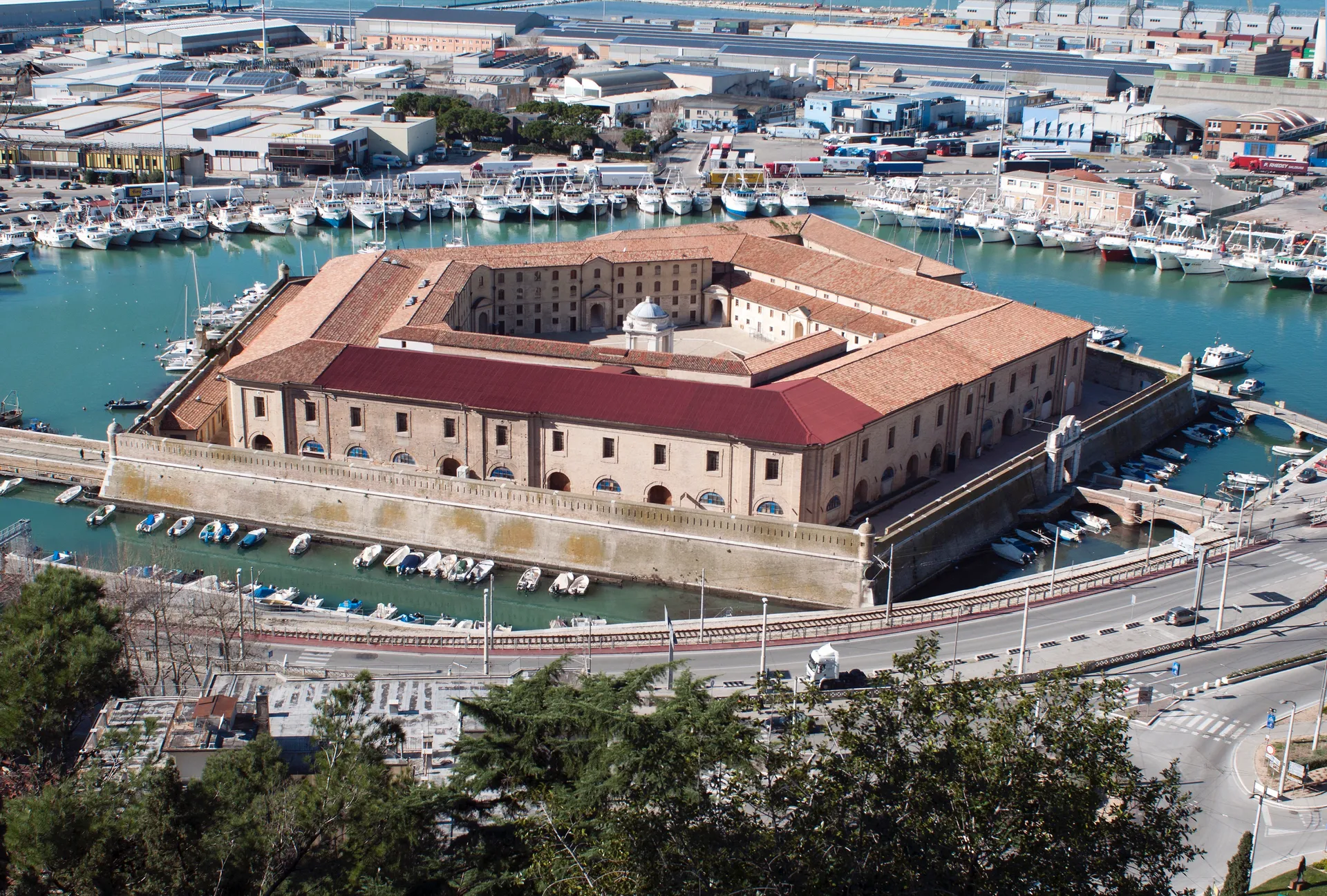 Ancona 2