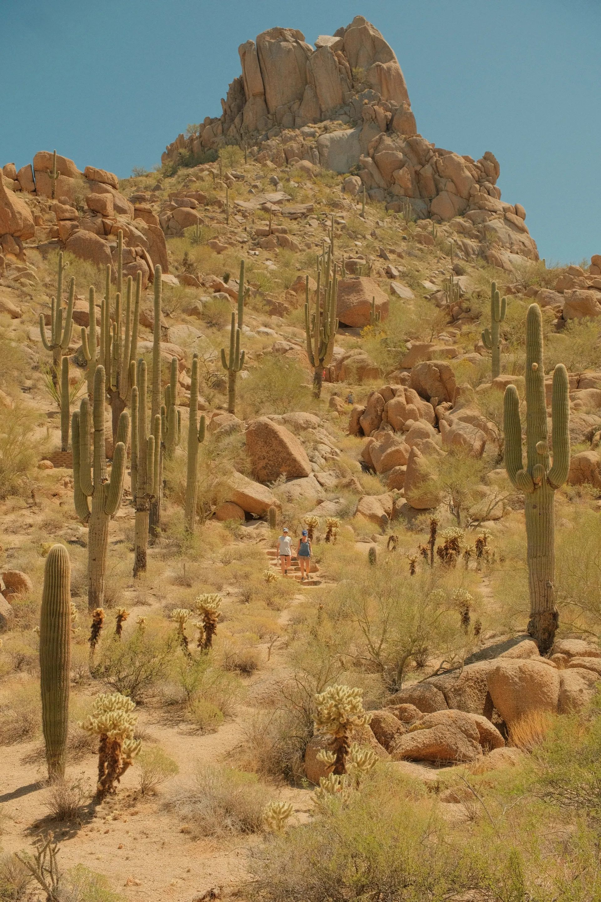 Scottsdale, Arizona 7