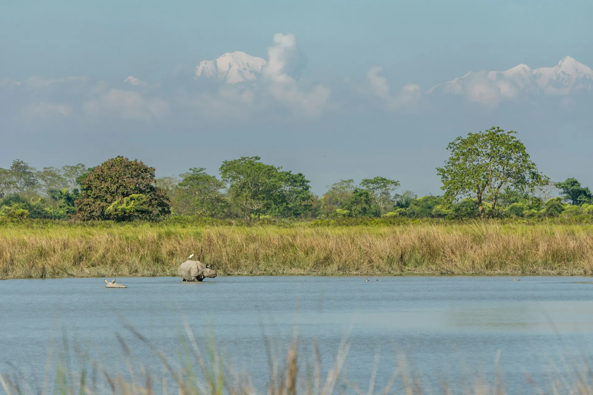 Kaziranga Nationalpark 4