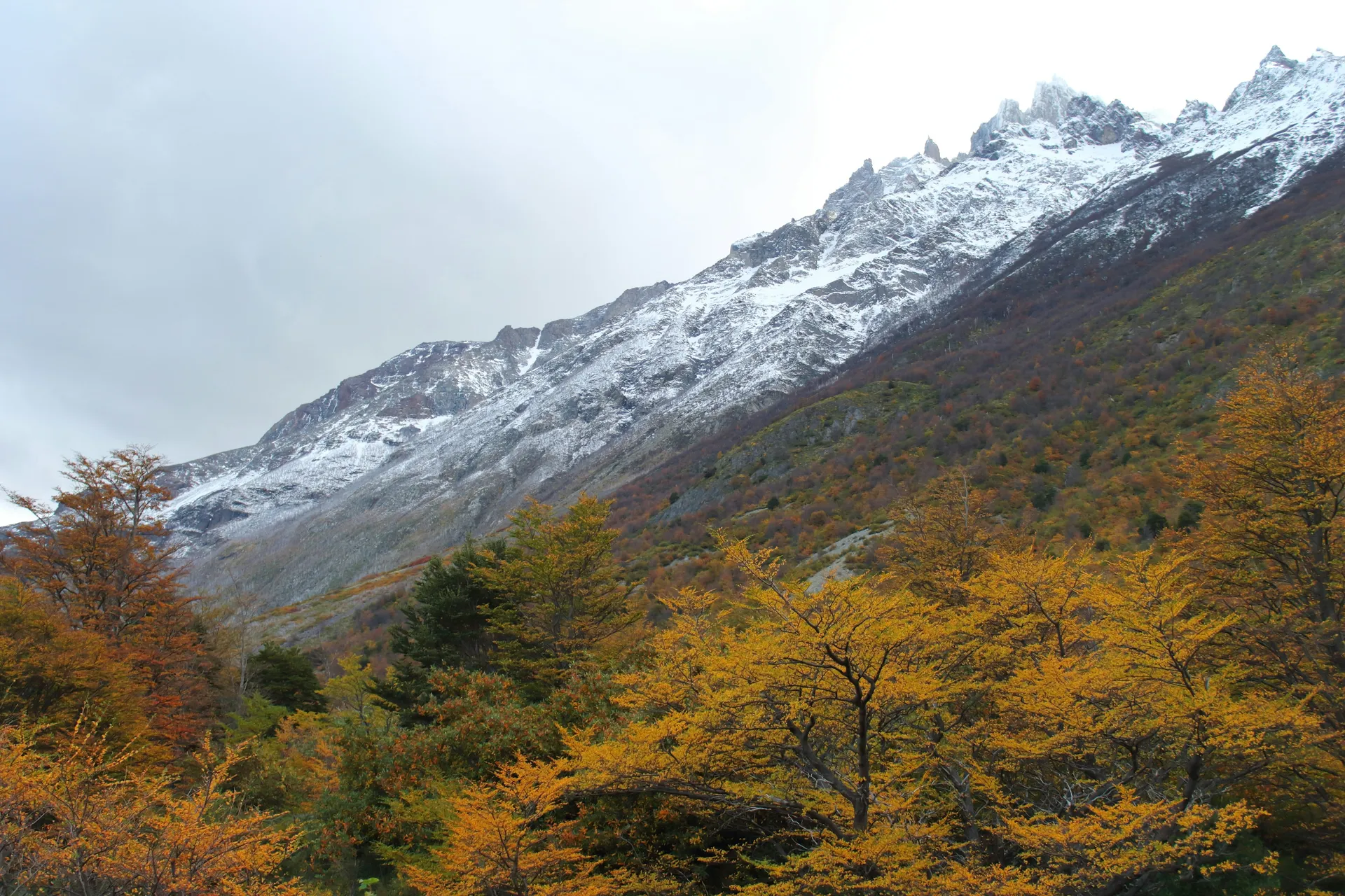 Vườn quốc gia Torres del Paine 5