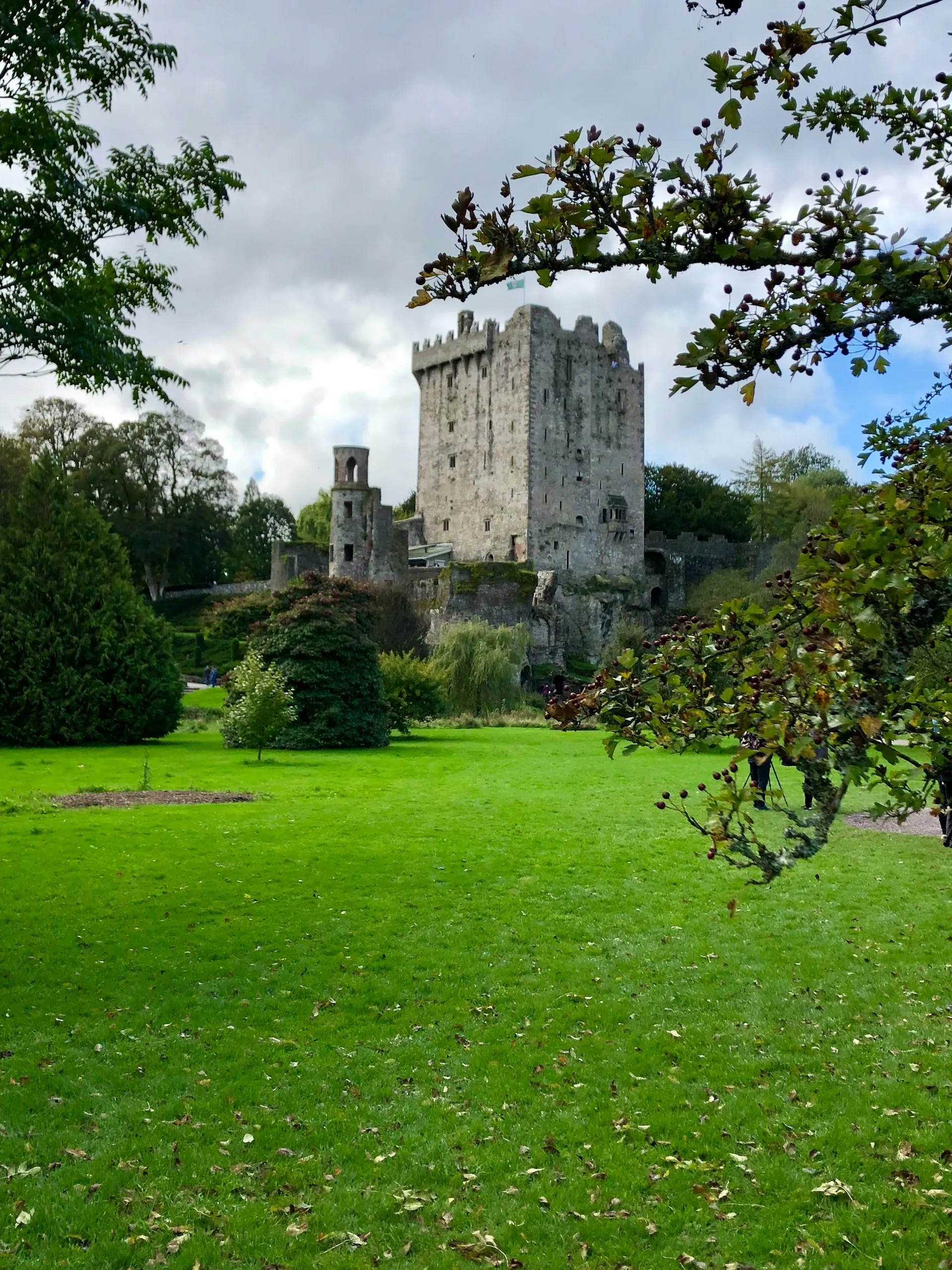 Blarney 7