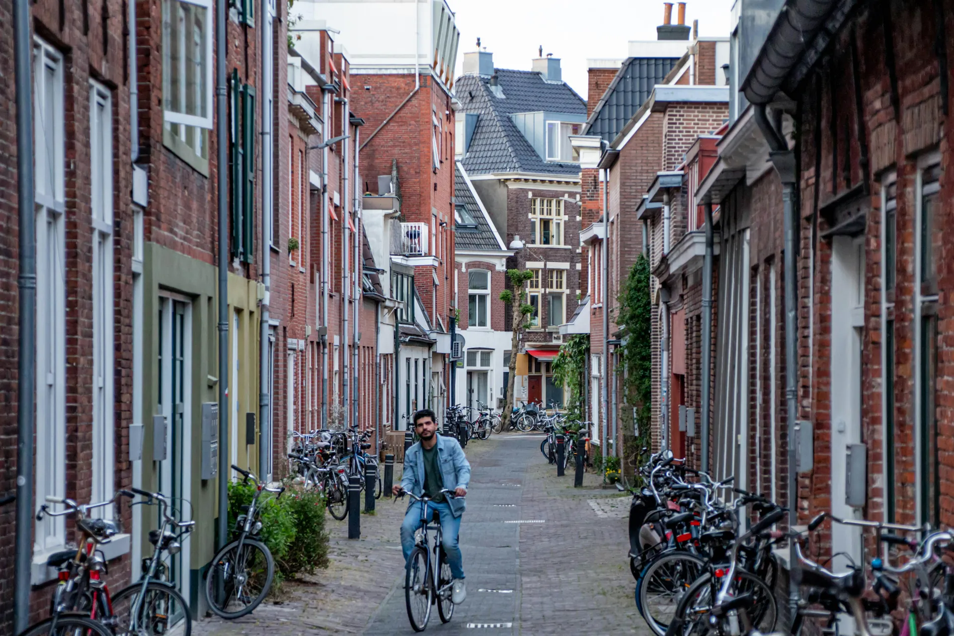 Groningen (Groningen, Netherlands)