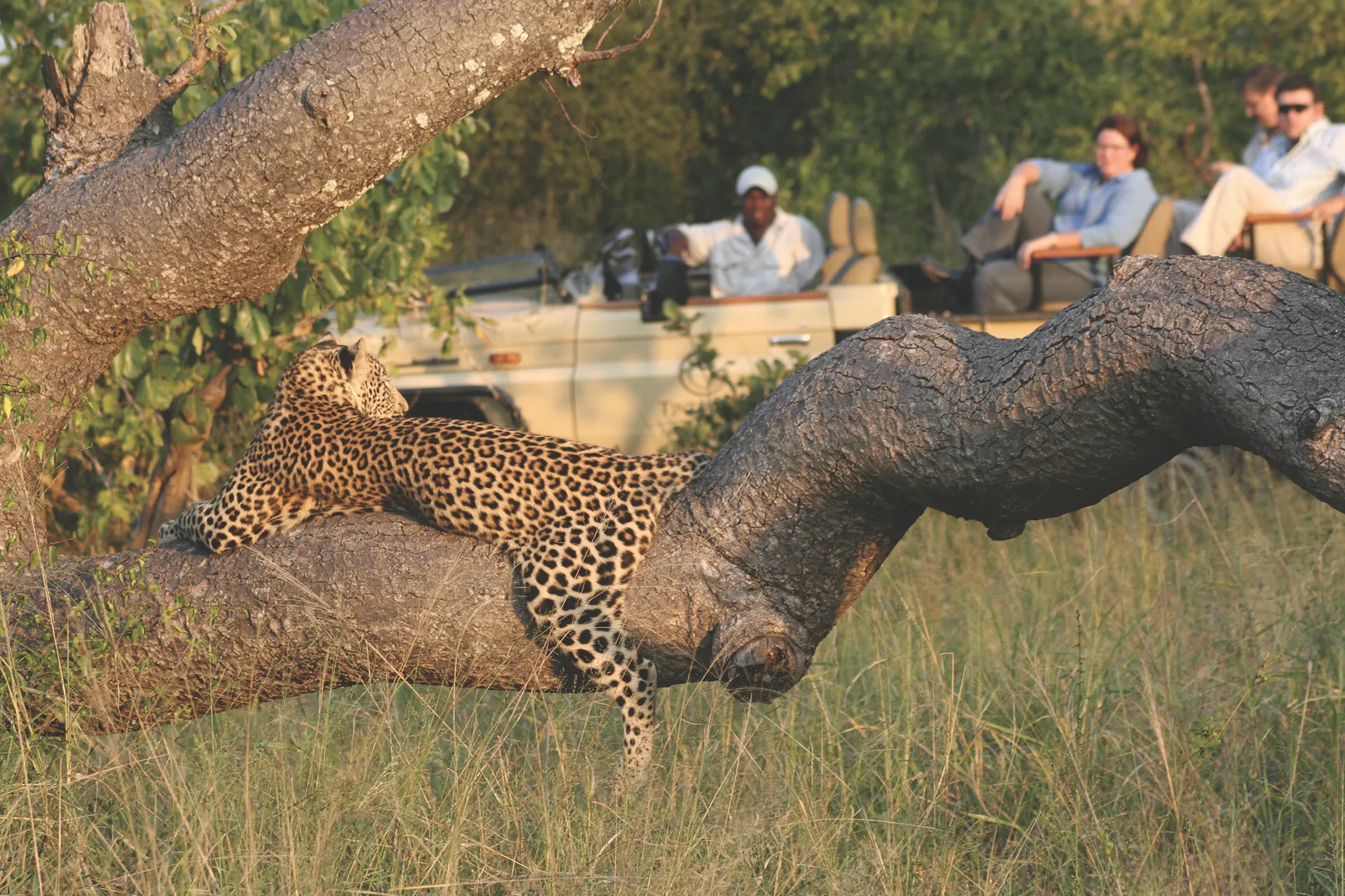 Chobe National Park 4
