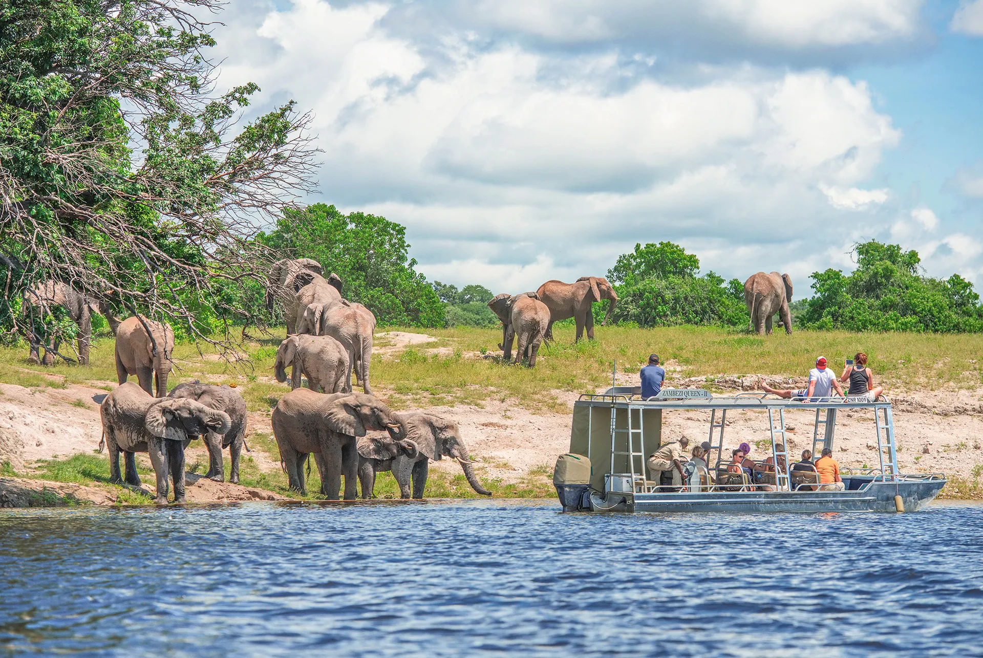 Chobe National Park 6