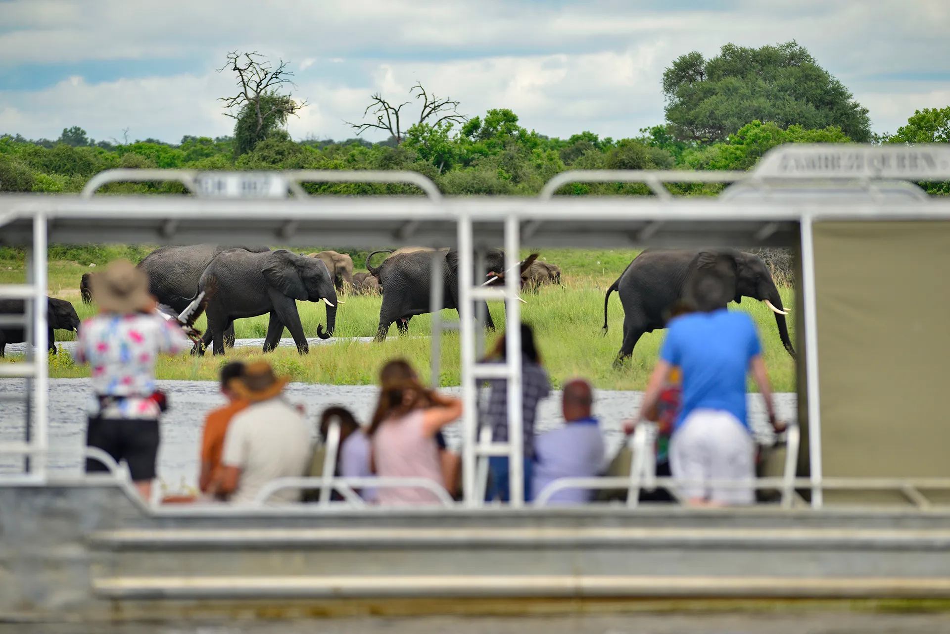Chobe National Park 5