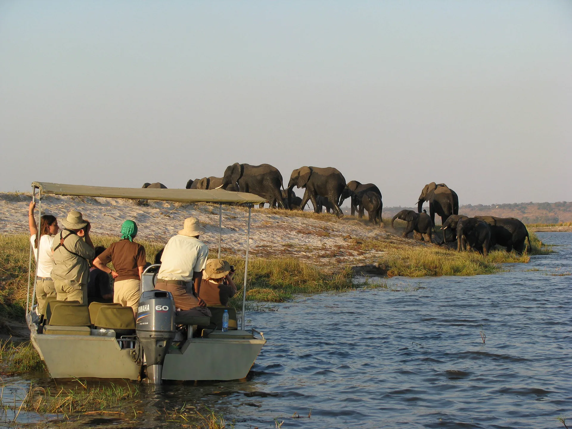 Chobe National Park 3