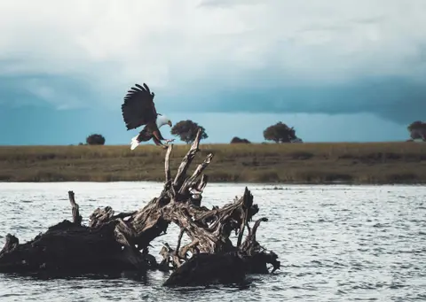 Εθνικό Πάρκο Τσόμπε