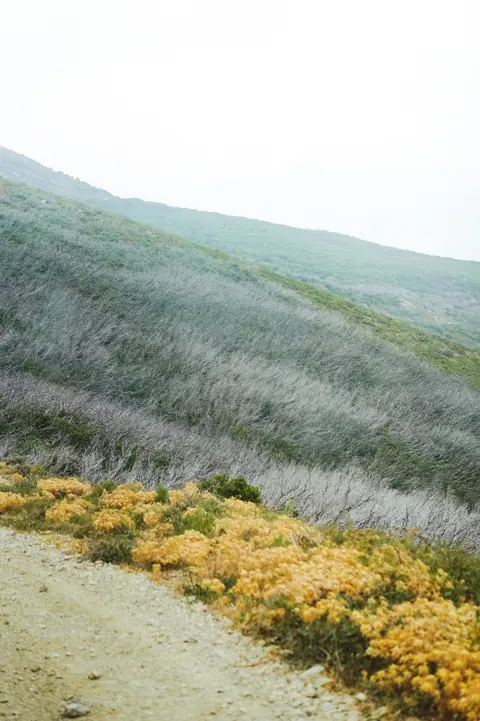 Saint-Florent (Corsica - France)