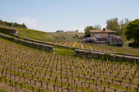 Bordeaux, Pariisi ja Seine-joki — Tauck · ms Reverie