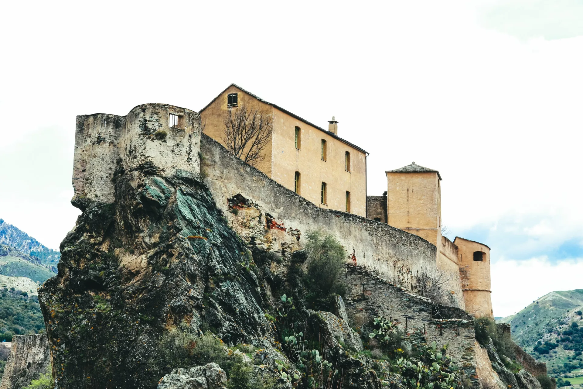 Calvi 5