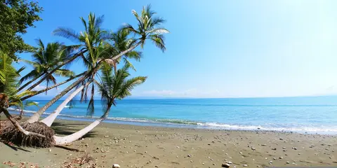 托爾圖加島