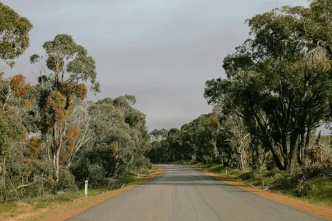 Wallaroo