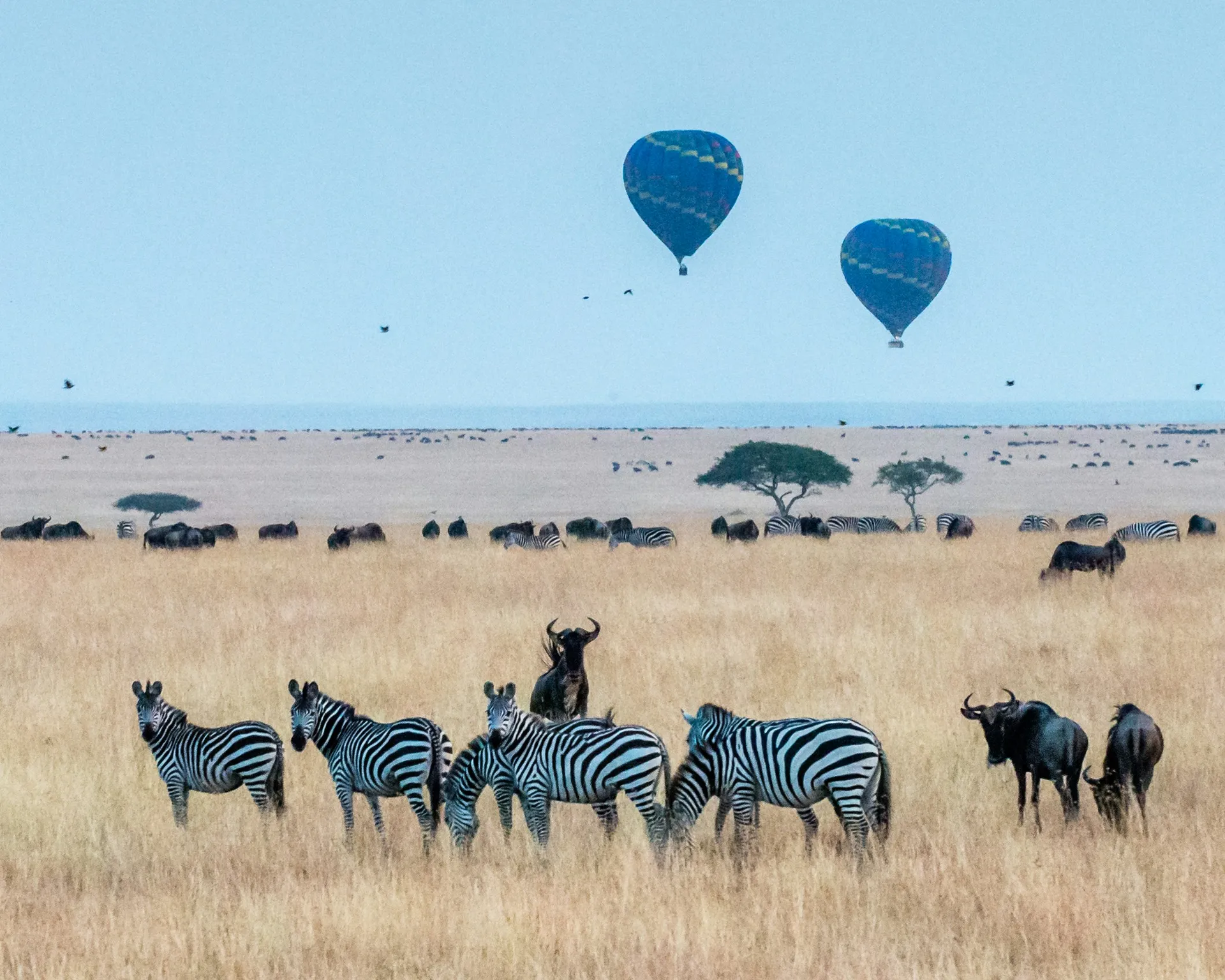 Maasai Mara 9