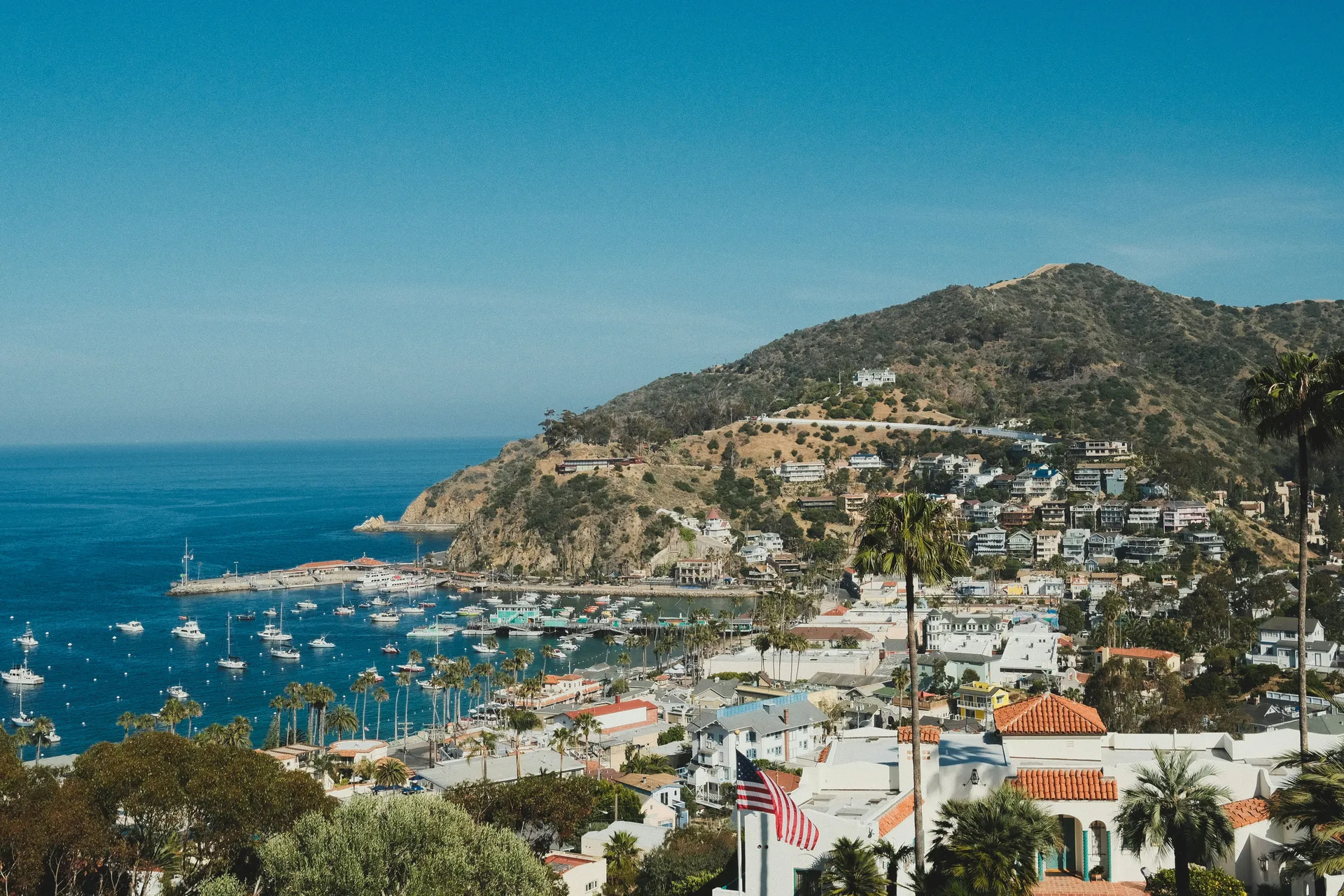 Catalina Island (Catalina Island, California)