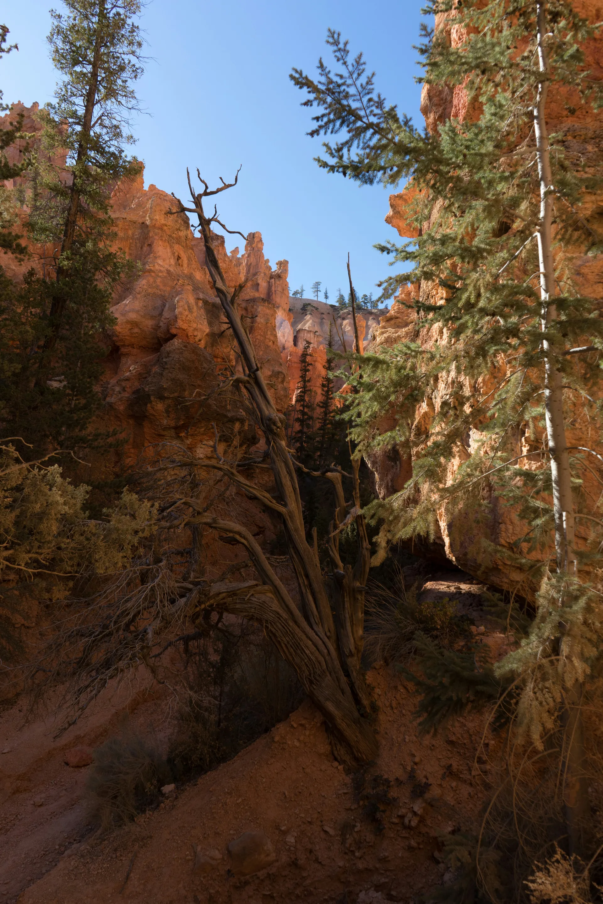 Bryce Canyon 4