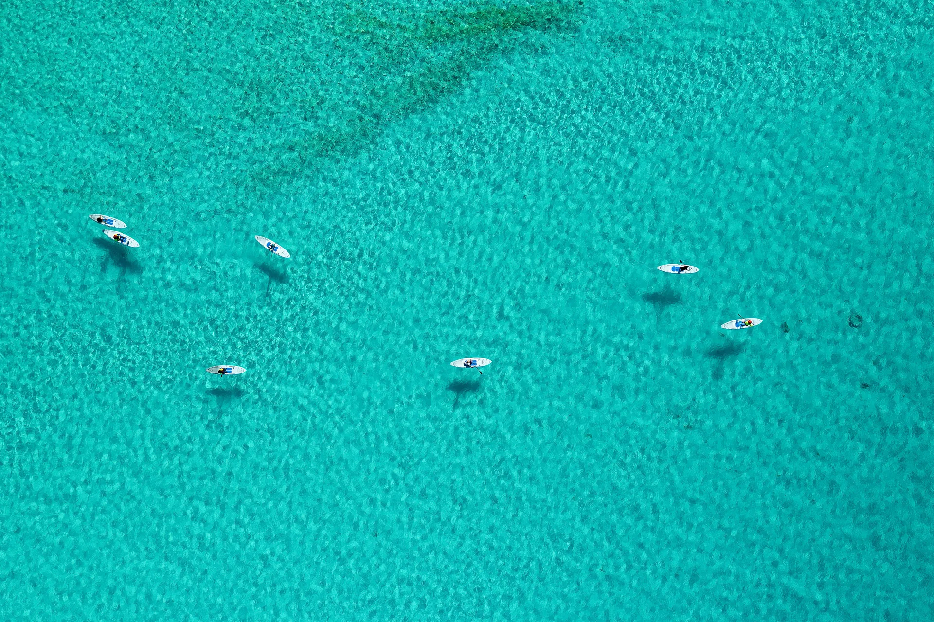 Ocean Cay 海洋保護區 6