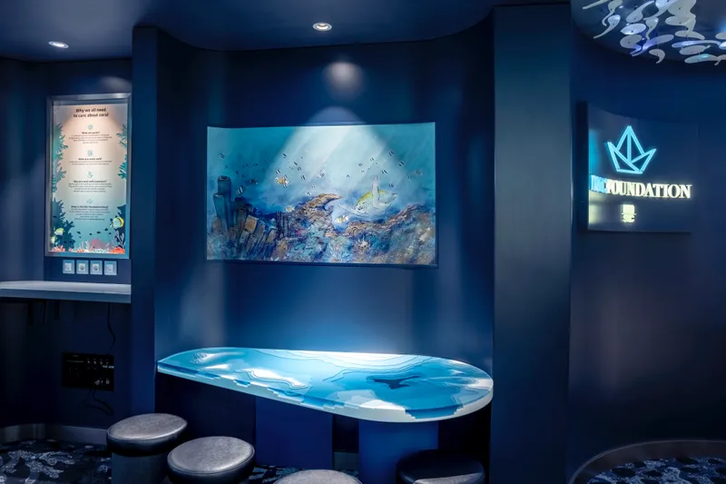 MSC Foundation Center 2