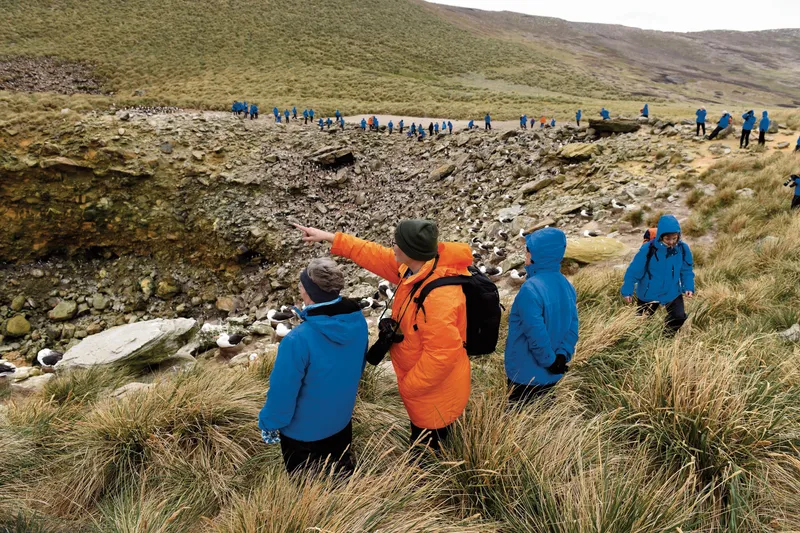 Organised Shore Activities