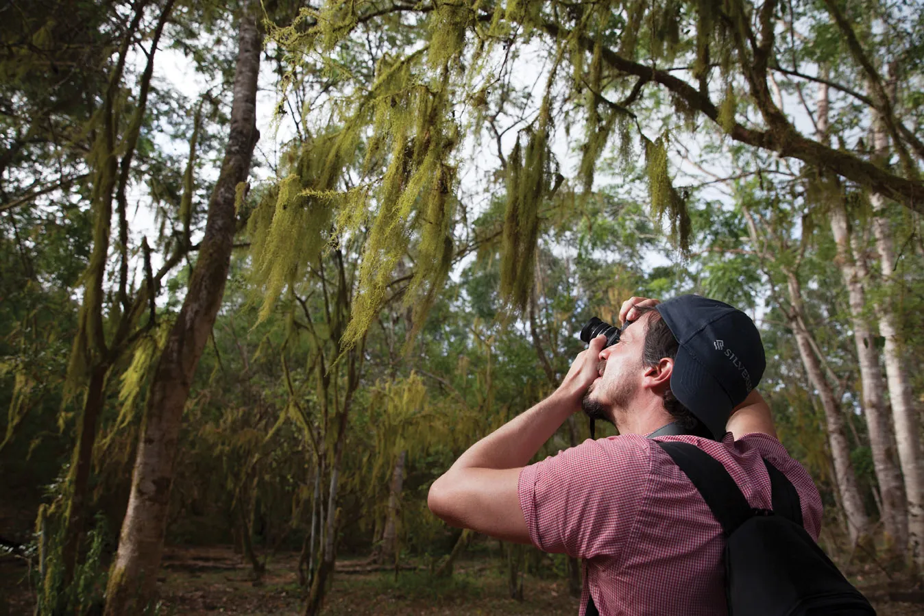 Shore Excursions