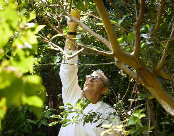 Atelierul de Îmbogățire Epicuriană 2