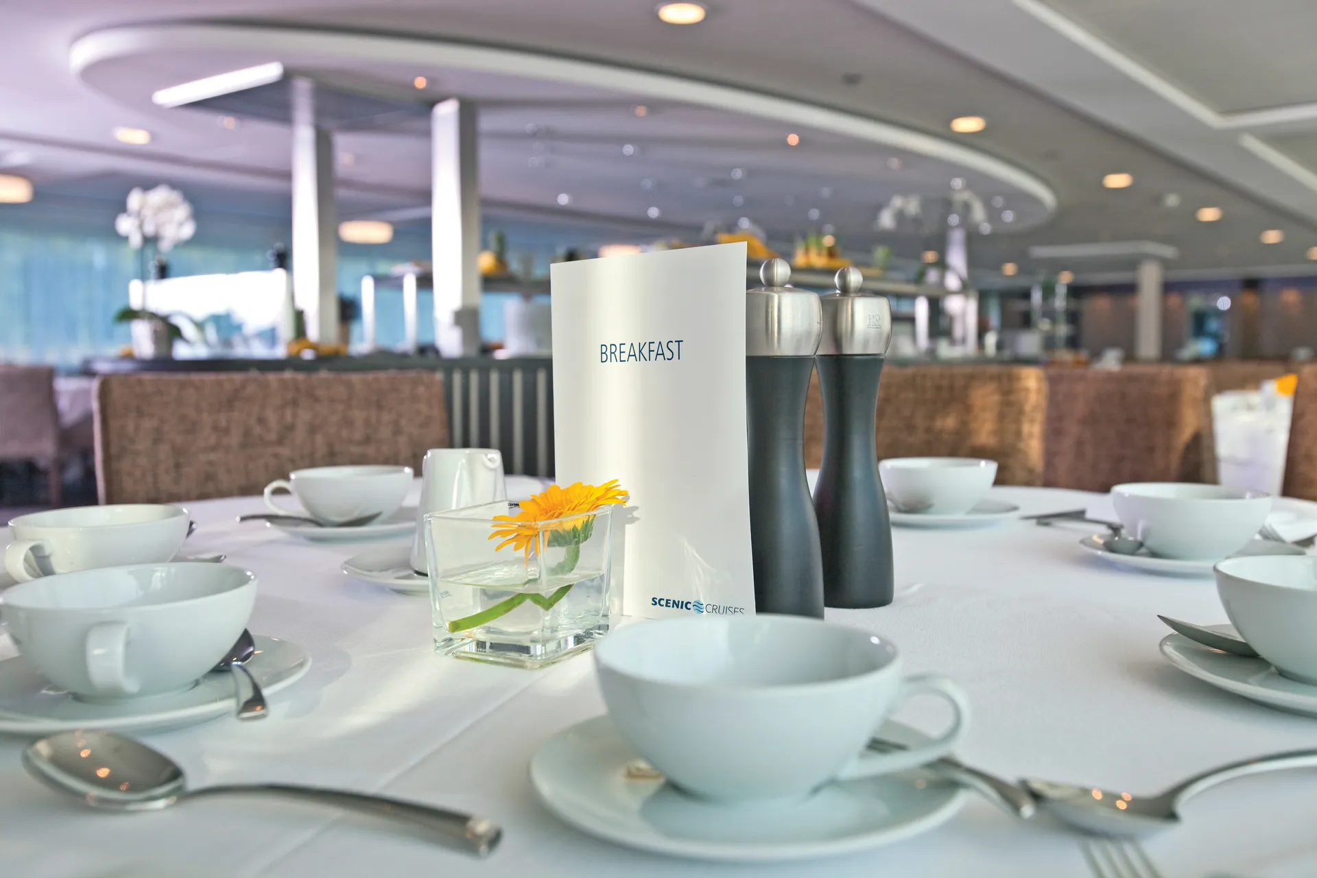 星凝红宝石号 5