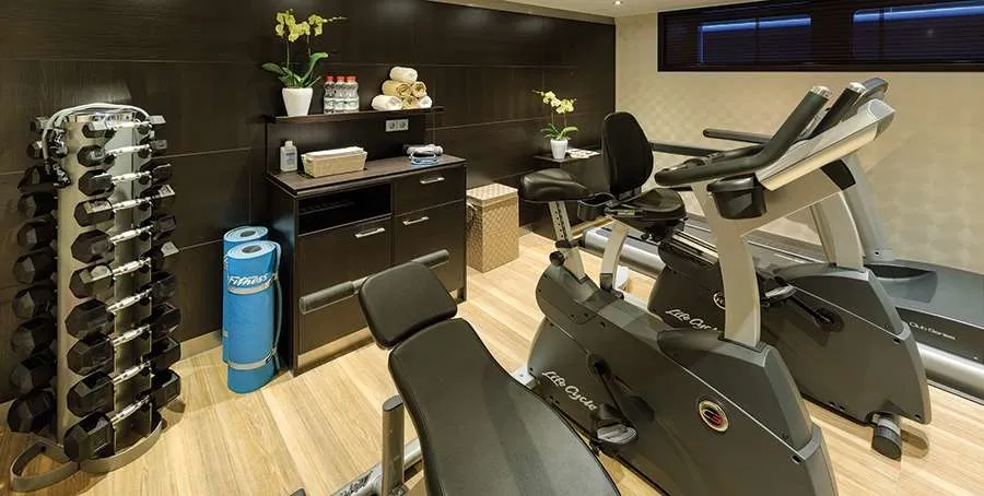 亚法隆织锦二号 6