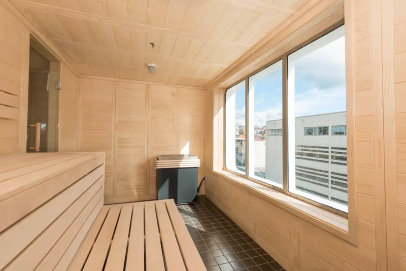 Πανοραμική Σάουνα 2