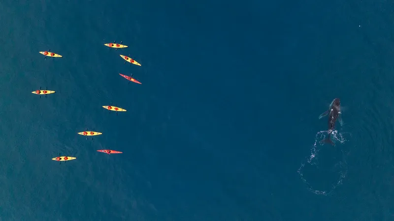 Ventures av Seabourn® 1