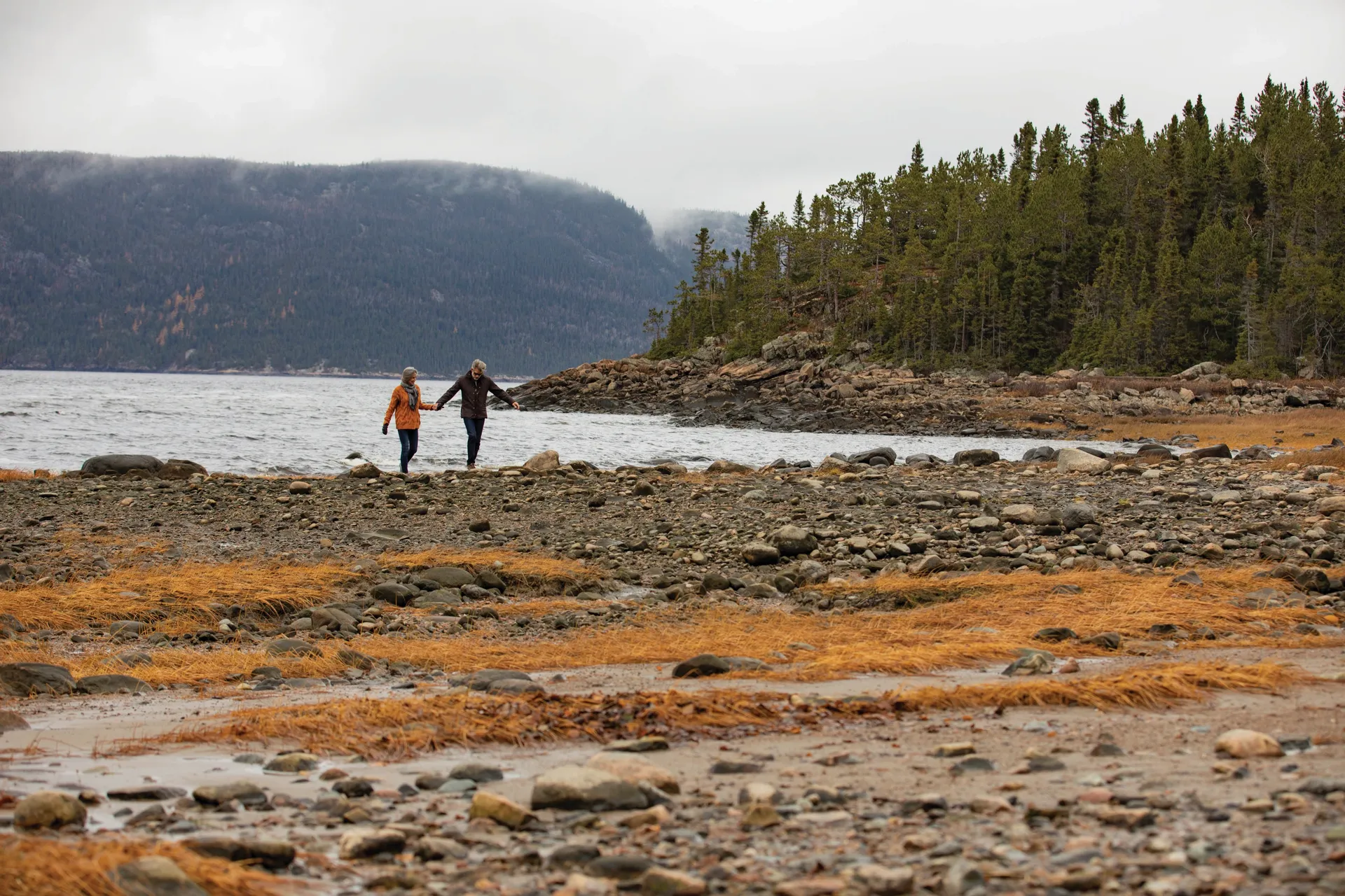 Tururi Locale de Lux 2