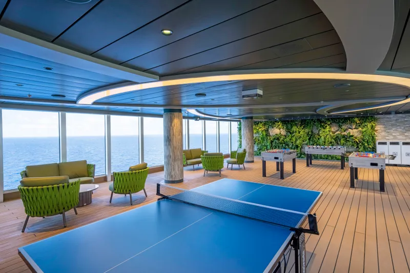 Lounge-ul Piscinei din Junglă 8