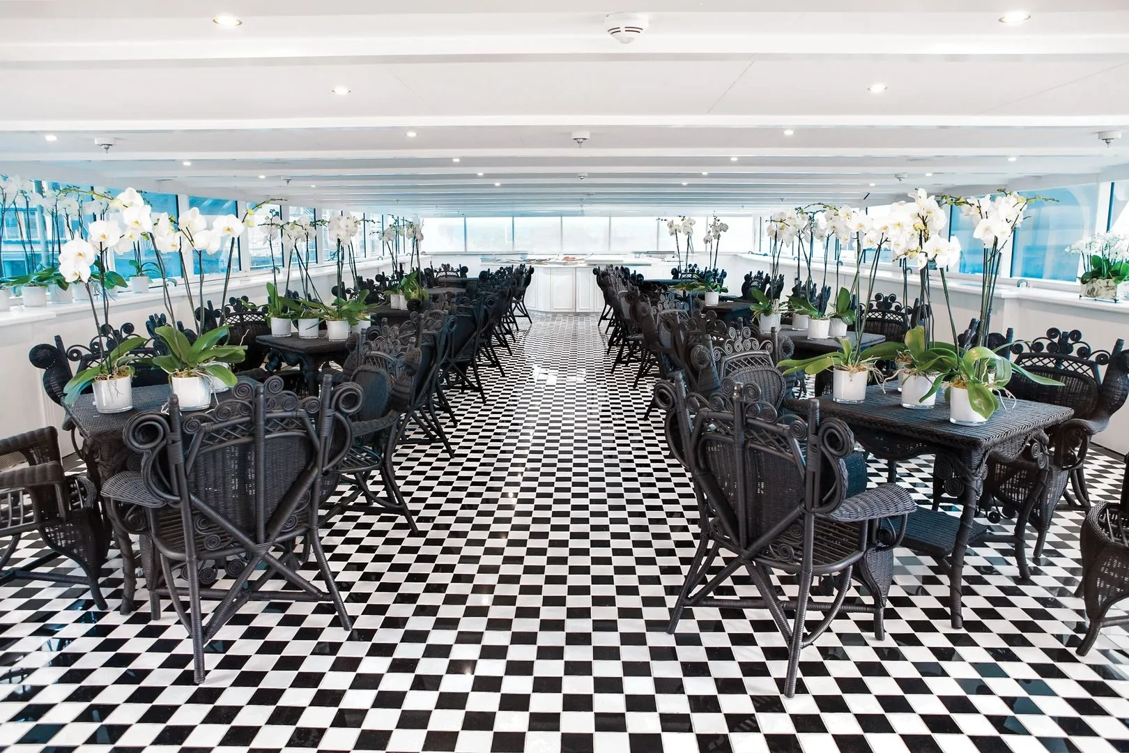 寰宇安托瓦内特号 8