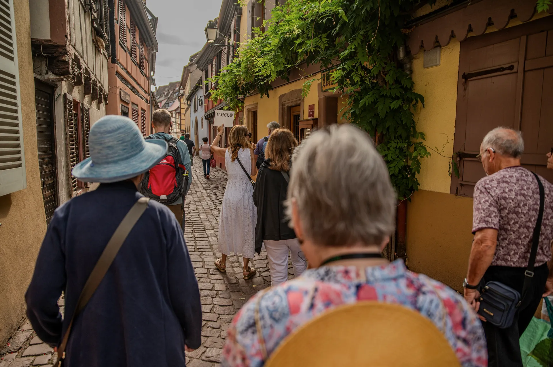 全程導覽 1