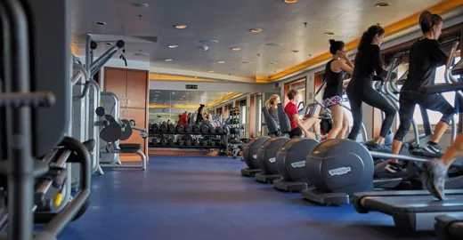 Seven Seas Navigator 7