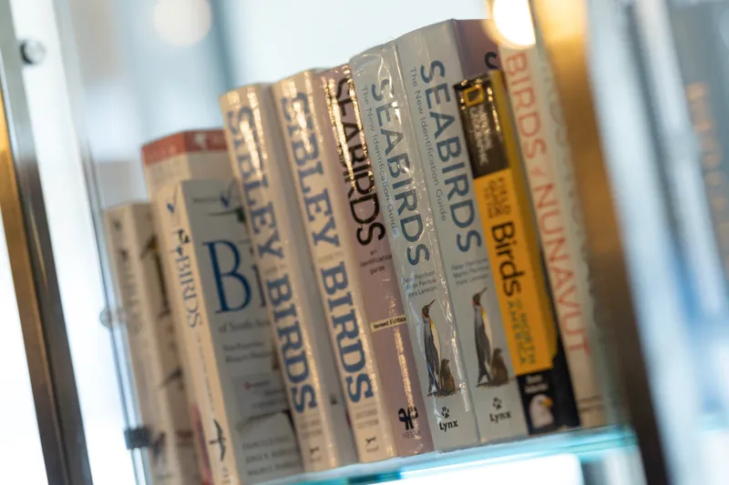 Βιβλιοθήκη 3