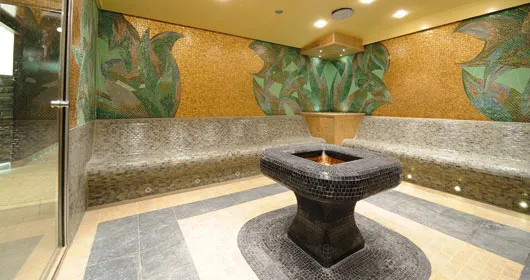 MSC Φαντασία 48