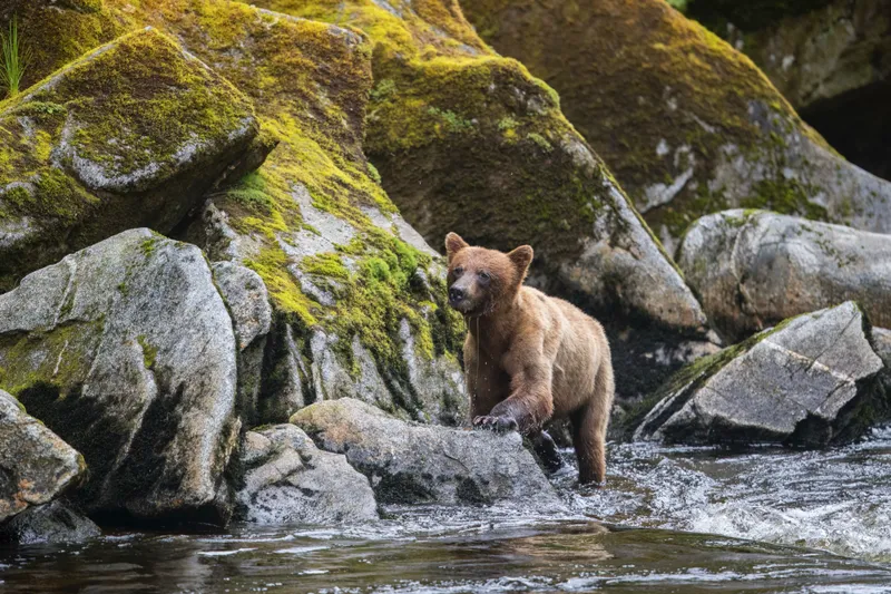Εμπειρίες Ακτής από τη Seabourn 10