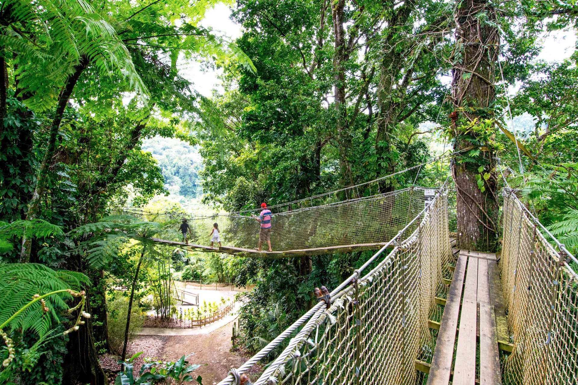 MSC Yacht Club Excursions 1