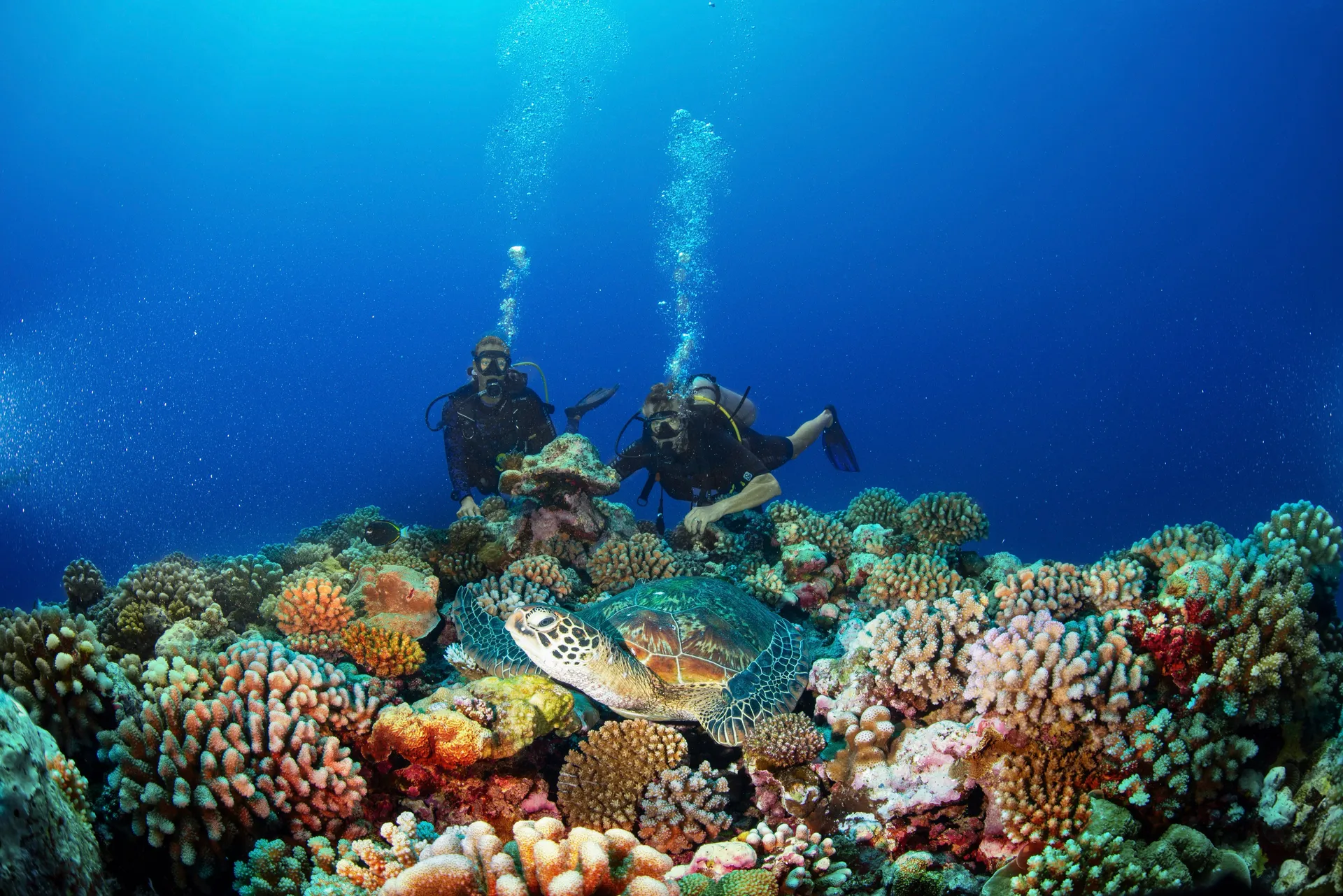 Búvárkodás élményutak 2