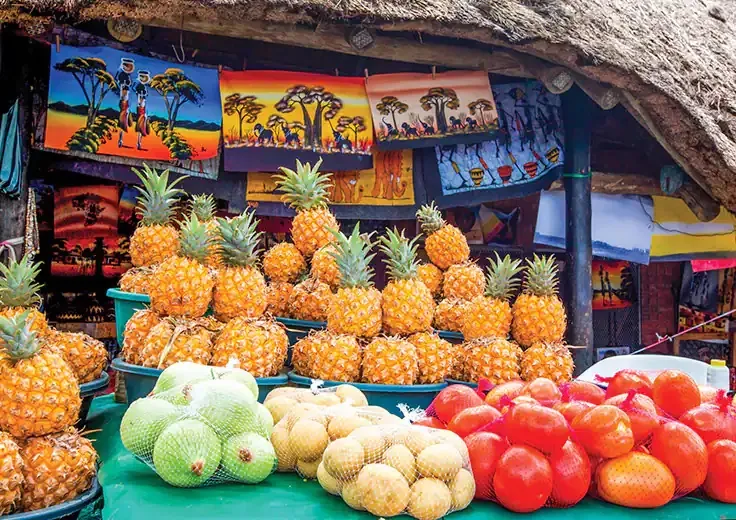 Εκδρομές στην Ακτή 1