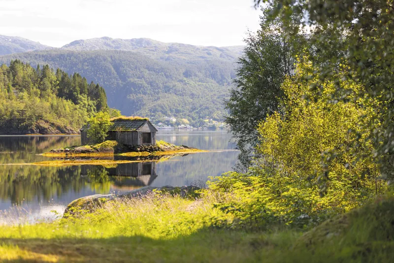 Regent Choice Utflykter i Hamn 3