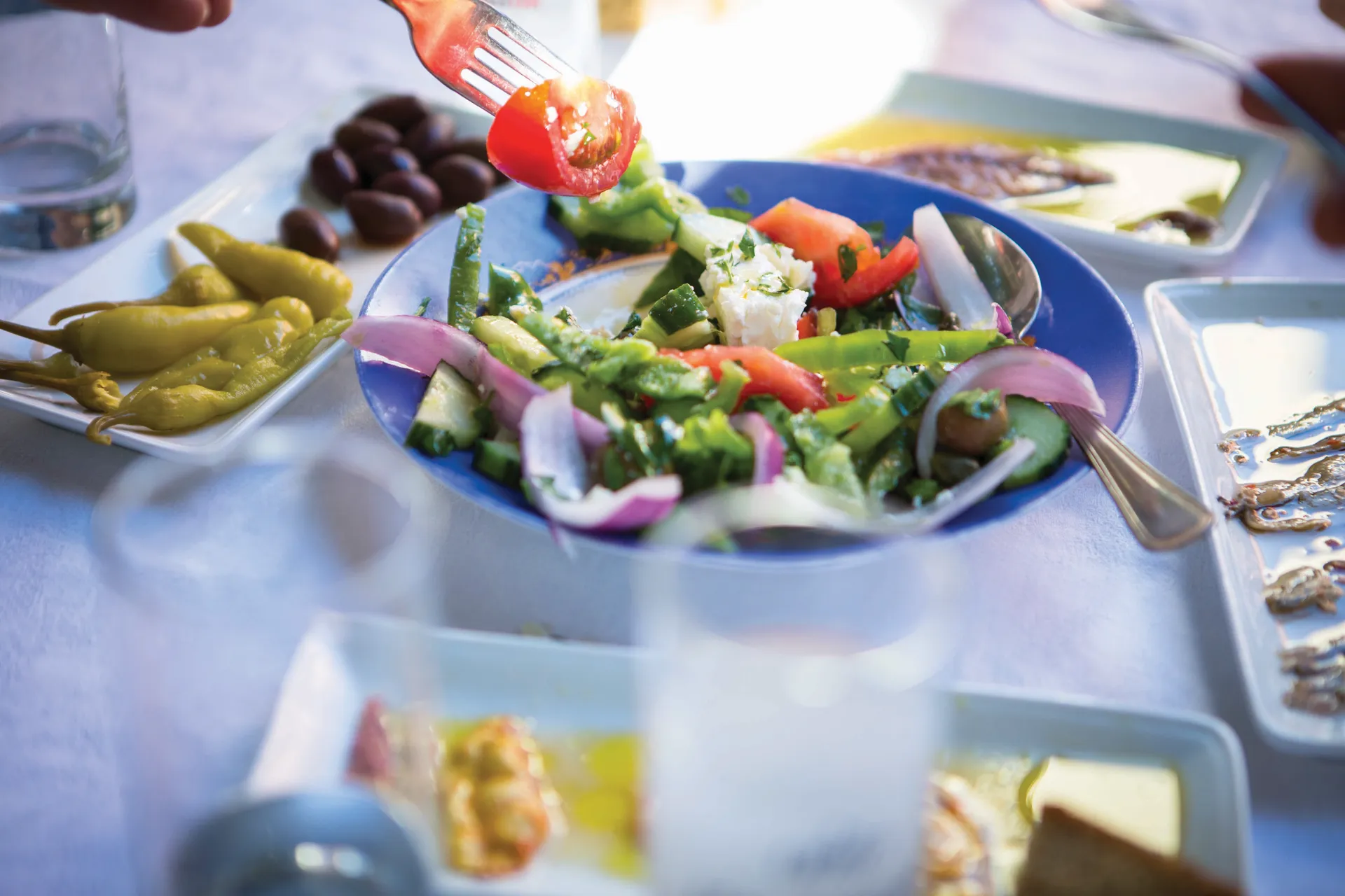 Epikurejské průzkumné plavby 1