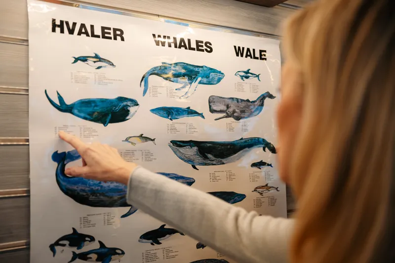 Centrul Științific 13