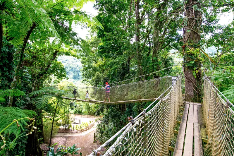 MSC Yacht Club Udflugter 1