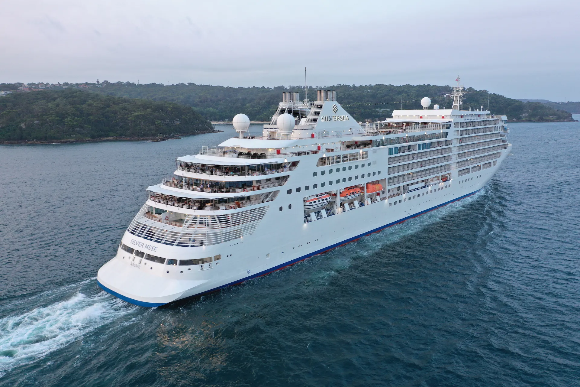 Silver Muse 10