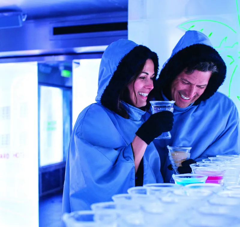 Skyy® Vodka Ice Bar 2