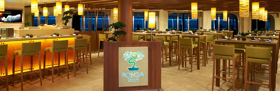 Carnival Vista 13