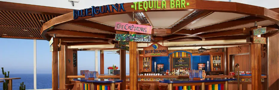 Carnival Dream 21