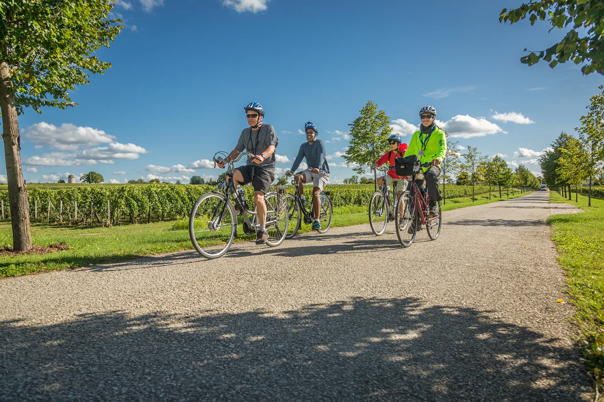 單車導覽 1